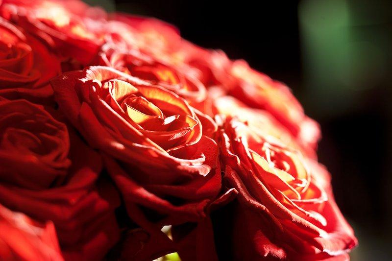 Les Jardins De La Hotel Paris